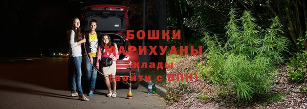 твердый Аркадак